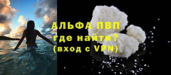 стафф Заводоуковск