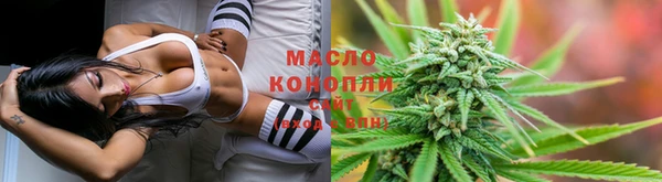 стафф Заводоуковск
