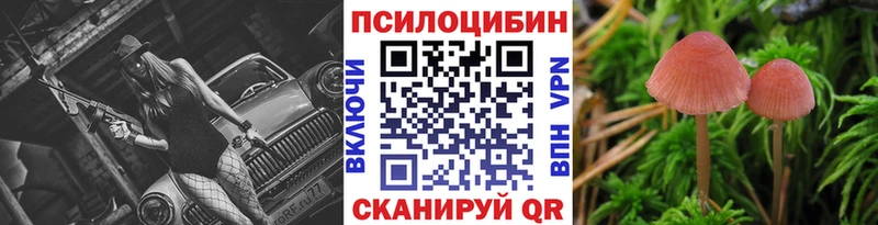 Купить  Змеиногорск  Псилоцибиновые грибы GOLDEN TEACHER 